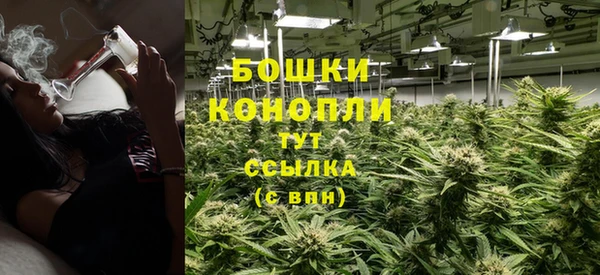стаф Богданович