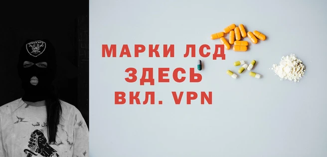 стаф Богданович