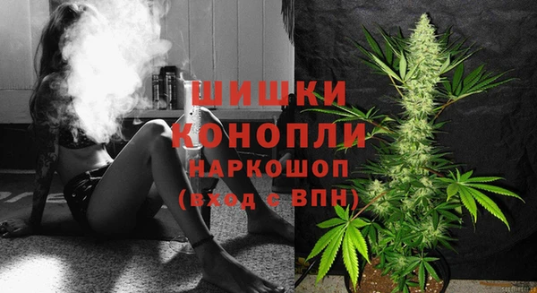 стаф Богданович