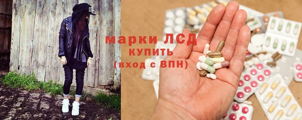 стаф Богданович