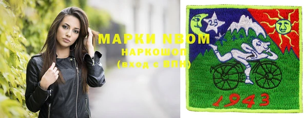 стаф Богданович